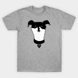 Rat terrier : T-Shirt